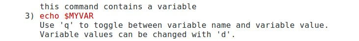 command 3 with variable shown instead of value